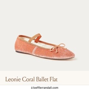 Loeffler Randall Leonie flats (velvet)